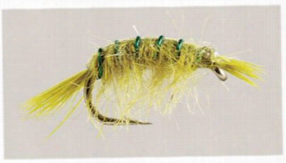 Scud Flies - 12 Pack - Olive - #16