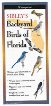 Sibley's Backyard Birds Of Florida Laminated Folding Guide By David Allen Sibley