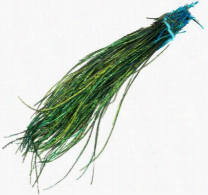 Strung Peacock Herl - 1/8  Oz. - Greeen