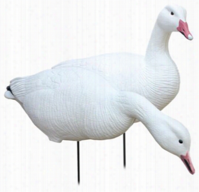 White Ock Decoys Collpsible Fullbody Snow Goose Allure