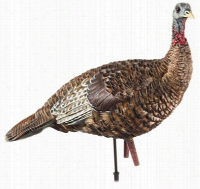 Avian-x Lcd Lookouy Hen Turkey Decoy