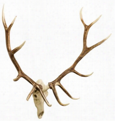 Cast Horn Designs Elk European Mount