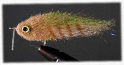 Enrico Puglisi Saltwater Fly - Everglades - 2/0