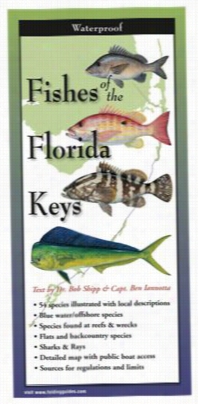 Fishes Of Thef Lorida Keys Laminated Folding Guide In Proportion To Bob Shipp And Diane Eebles