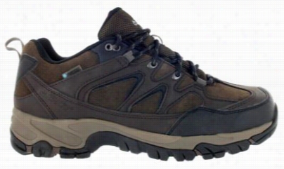 Hi-tec Altitude Trsk Low I Wp Waterproof Hiking Shoes For Men - Da Rk Chocolate - 12w