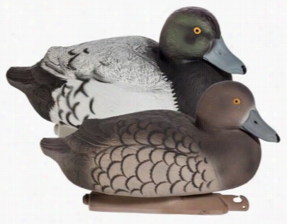 Higdon Decoys Battl Edhip Foam-filled Bluebill Duck Decoys