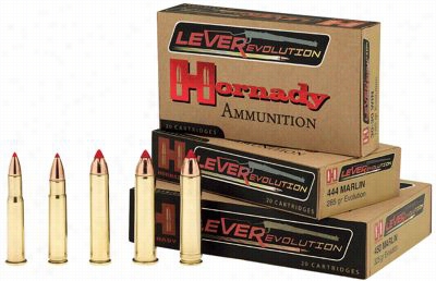 Hornady Leverevolution Riifle Ammo - 44 Remington Magnnum - 225 Grain - 20 Roundds