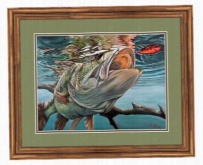 Kasey Scott Framed Atrwork - Pablo's Red Eye Shad