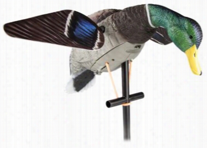 Lucky Duck Lucky Hd Motorized Mallard Decoy