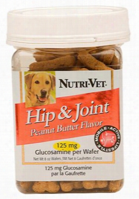 Nutri-vet Hip And Jointm Ini Dog Wafers