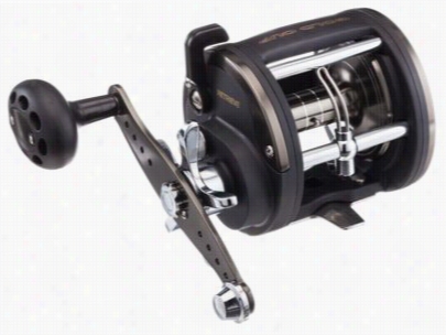 Offshore Angler Gold Cup Levelwind Reel - Gdc-20