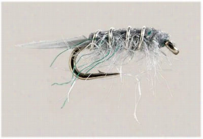 Sow Bug Flies - 12 Pack - Grey - #16