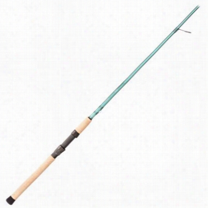 St.croix Avid Serie Inshore Spinning Rod - Vi6s6mf