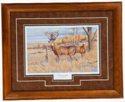 The Bryant Buck King Of Bucks Collection Framed Artwork