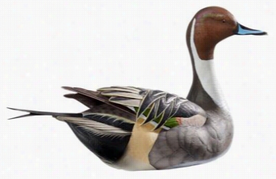 Wild Wings Swan Lake Pintail Decoy Sfulpture By Sam Nottleman