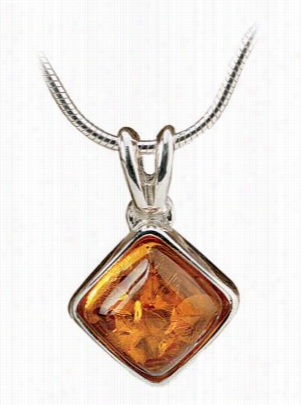 A Touch Of Amber 18" Necklace