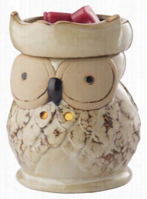 Candle Warmers, Etc. Ceramic Owl Illuminatin Fragrance Wwarmer