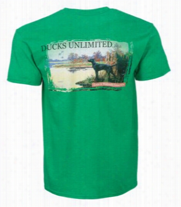 Ducks Unlimited After Tthe Limit Duet T-shirt Ofr Men - S