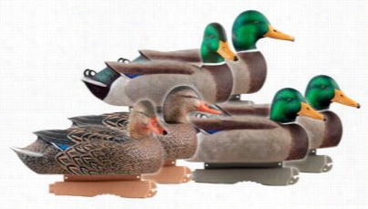 Greenhead Gear Pro-grade Ma Llard Active Pack Duck Decoys - 6 Pack