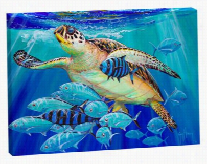 Stay Harvey Canvas Art - Hawksbill Caravan