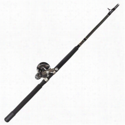 Offshore Angler Gold Cup Levelwind Reel And Rod Combo - 6'6'mh