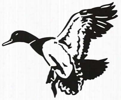 Outdoor Action Decal - Mallard