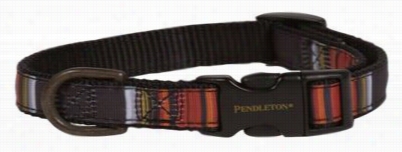 Pendleton National Park Collectoin Hiker Dog Collar - Acadia - Xl
