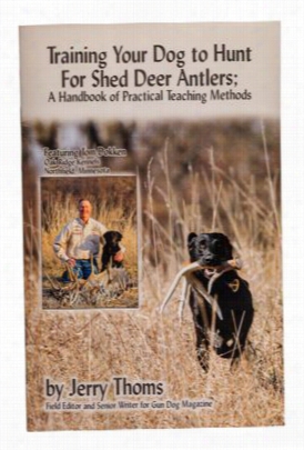 Training Your Do G To Hunt For Shed Deer Antlers By Jerry Thoms