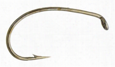 White River Fly Shop Scud Hook - #14