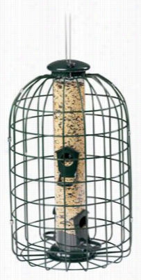 Audubon Bird Feeders - Squirrel Proof Feedder