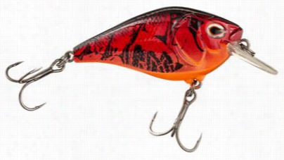 Boyd Duckett Series 1.5 Squarebill Crrankbait - 2-1/2'  - Red Craw