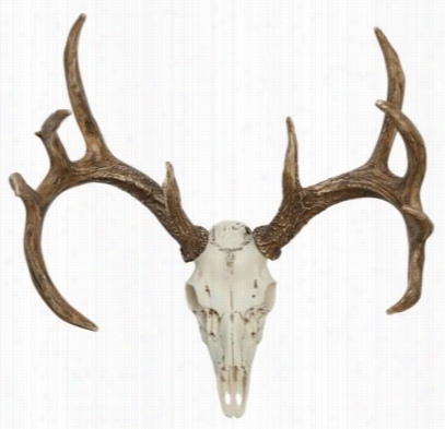 Cast Horn  Designs Whitetail European Mount