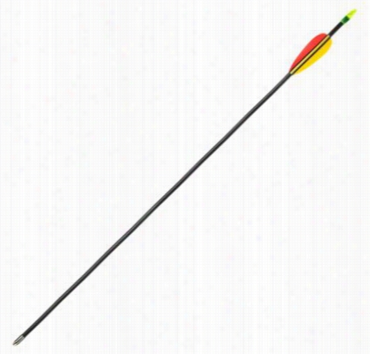 Daisy Youth Archery 26' Target Arrows