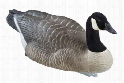 Dakota Decoy X-treme Cajada Floater Goose Decoys