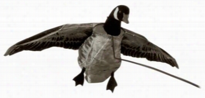 Deadly Decoys Flyer Canada Goose Decoy