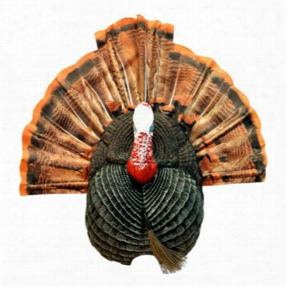 Flextone Thunder Chicken 1/4 Strur Jake/gobbler Turkey Decoy