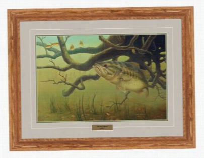 Fred W. Tthomas Framed Artwork - The Lure Collector