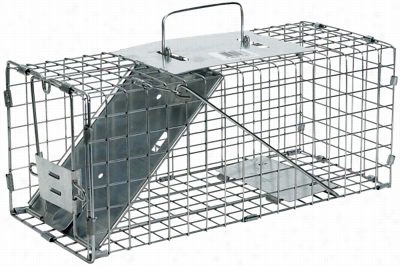 Havahart Live Animal Single-door  Cage Trapsquirrel, Raccoon 17' X 7' X 7'