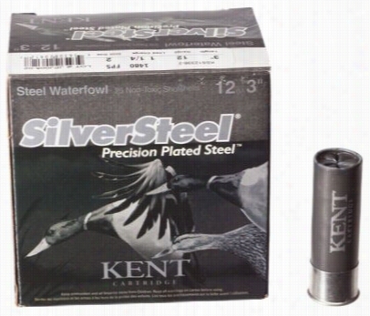 Kent Cartridge Silversteel Waerfowwl S Hotshell Ammo - 12 Ga. - Bb Shot  -25r Ounds