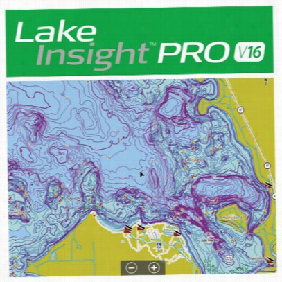 Lowrance Lake Discernment Pro High-definition Lake Maps V16 Chart Card