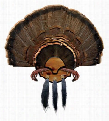 Mountain Mike's Reprouctions Beard Master Turkey Kit