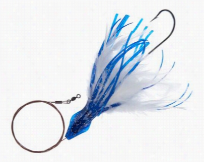 No-alibi Dolphin Delights - Cable Rig - Bluew H Ite