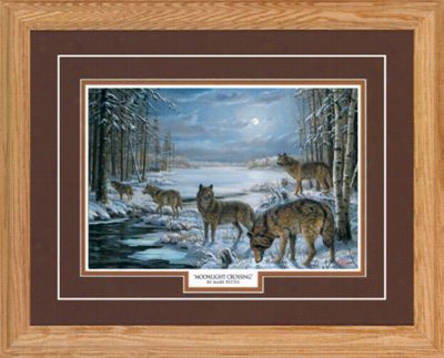 Northern Promotions Framed Creation Of Beauty - Moonlight Crossing By Mary Pettis