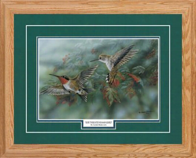Northe Rn Promotions Framed Art Ruby Throated Hummingbird By Gamini Ratnavaria