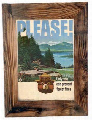 Please! Smokey Framed Canvas Print - 18' X 22'