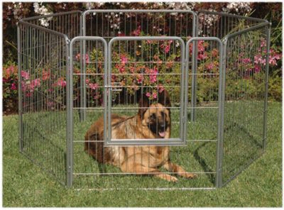 Prevision Pet Products Courtyard Kennel