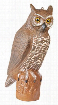 Redhead Owl Decoy