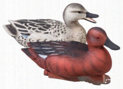 Tanglefree Pro Series Cinnamon Teal Decoys