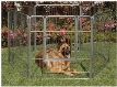 Precision Pet Products Courtyard Kennel