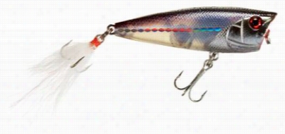 Xts Lures - Popper -  Purple Flash